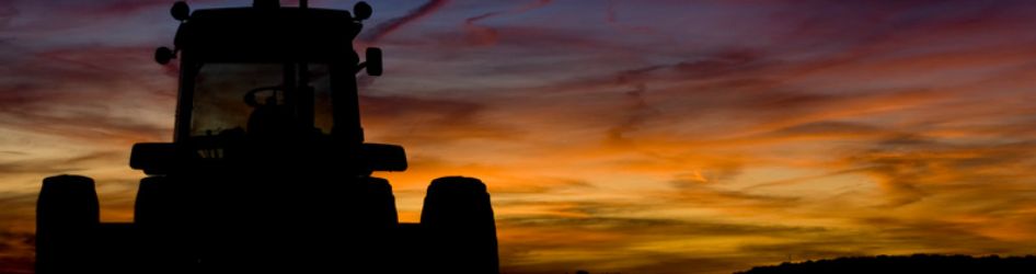 West Texas landscape